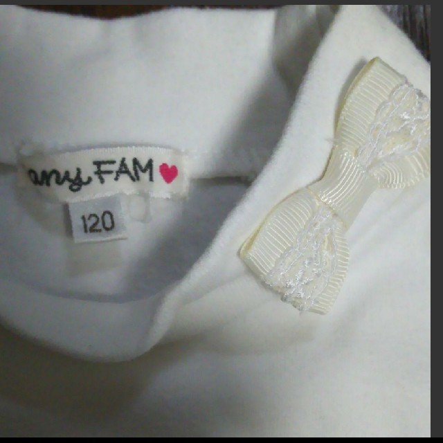 anyFAM(エニィファム)のエニィファム ハイネックシャツ 110-120 キッズ/ベビー/マタニティのキッズ服女の子用(90cm~)(Tシャツ/カットソー)の商品写真