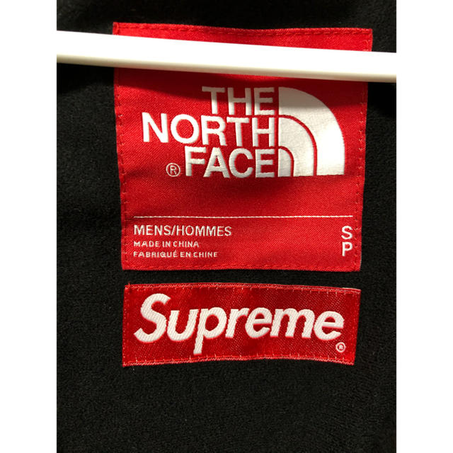 Supreme(シュプリーム)のsupreme×thenorthface マウンテンパーカ　落ち葉枯葉 メンズのジャケット/アウター(マウンテンパーカー)の商品写真