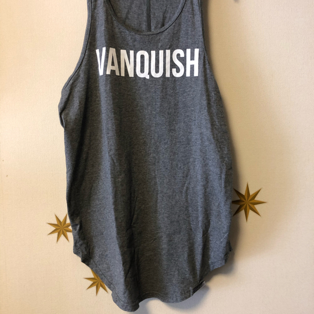 VANQUISH(ヴァンキッシュ)のvanquish fitness  スポーツ/アウトドアのトレーニング/エクササイズ(トレーニング用品)の商品写真