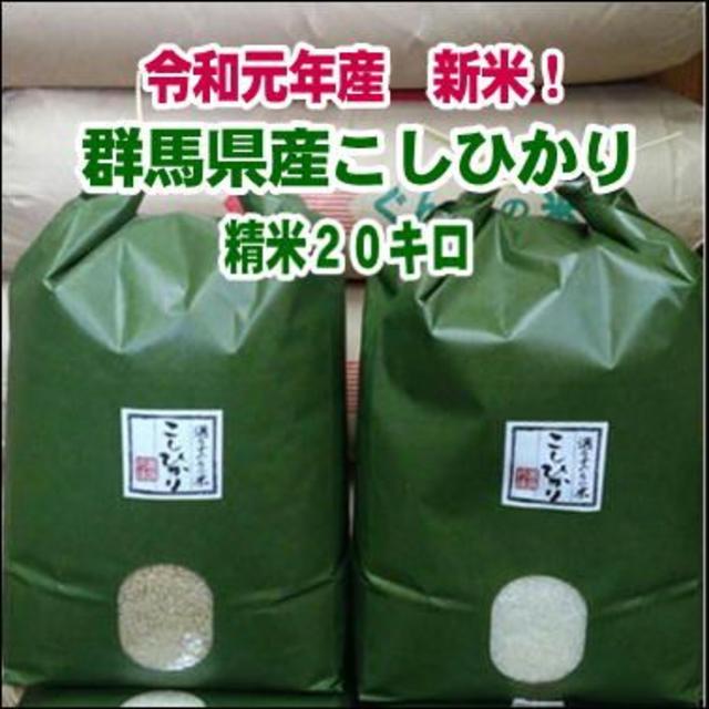 新米！　群馬県みなかみ産　コシヒカリ 　精米２０㎏