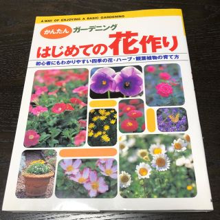 はじめての花作り(趣味/スポーツ/実用)