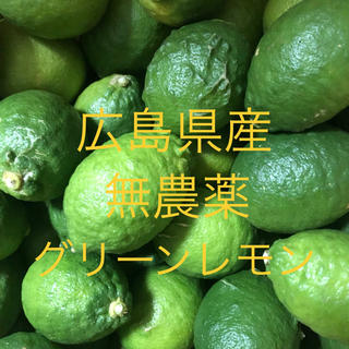 広島県無農薬レモン(フルーツ)