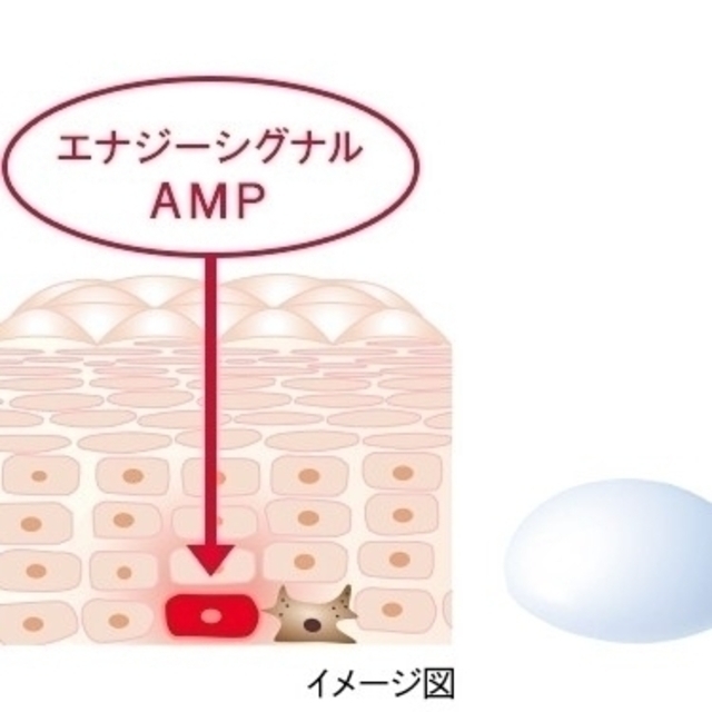 大塚製薬(オオツカセイヤク)のインナーシグナルリジュブネイトエキス コスメ/美容のスキンケア/基礎化粧品(美容液)の商品写真