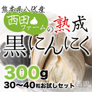 熊本県八代産 熟成 黒にんにく 300g(野菜)