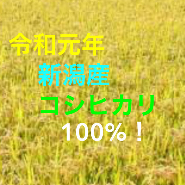 令和元年 新潟産 コシヒカリ 新米 玄米 30キロ