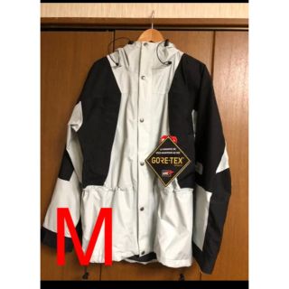 ザノースフェイス(THE NORTH FACE)のThe north face マウンテンライトジャケット  M 1994(マウンテンパーカー)