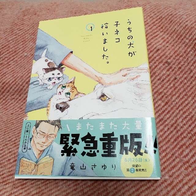 小学館(ショウガクカン)のうちの犬が子ネコ拾いました。（第1巻） エンタメ/ホビーの漫画(少女漫画)の商品写真