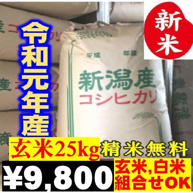 令和元年度　新米コシヒカリ25キロ　訳あり品米/穀物