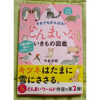 それでもがんばる！どんまいないきもの図鑑(絵本/児童書)