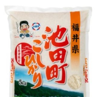 新米　福井県池田町　こしひかり５キロ　食味特A7年連続(米/穀物)