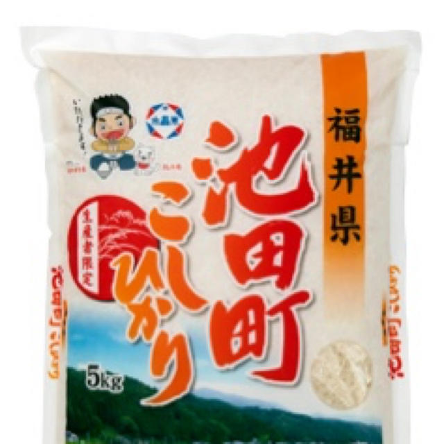 福井県池田町産　特A連続7年　米/穀物　新米　コシヒカリ10キロ