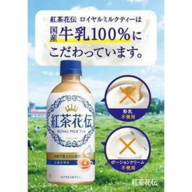 コカ・コーラ(コカコーラ)の紅茶花伝　440ml ホット専用　48本　2ケース 食品/飲料/酒の飲料(茶)の商品写真