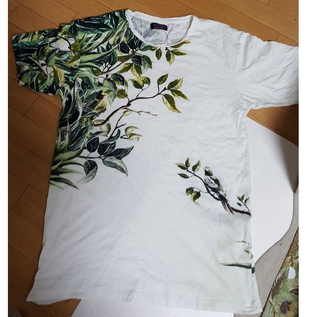 ZARA(ザラ)のZARA鳥模様大胆なTシャツ メンズのトップス(Tシャツ/カットソー(半袖/袖なし))の商品写真