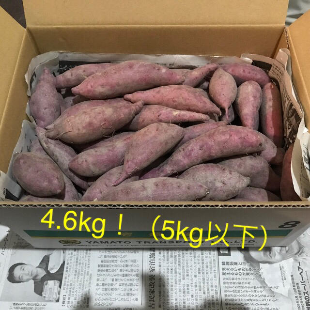 はちく1kg 吉備高原産　たけのこ