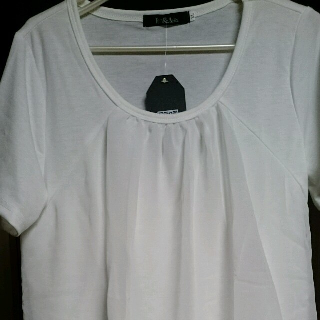 シフォン Tシャツ レディースのトップス(カットソー(半袖/袖なし))の商品写真