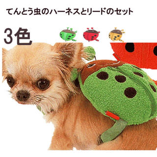 てんとう虫のハーネス&リード 赤☆小型犬用(犬)
