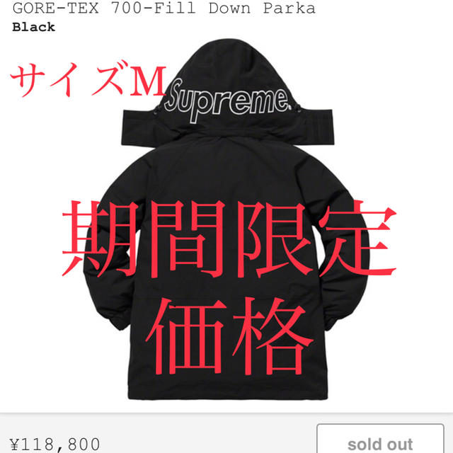 supreme GORE-TEX 700-Fill Down Parka