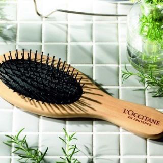 ロクシタン(L'OCCITANE)の&ROSY 12月号付録　ロクシタン　秋のビューティセット(ヘアブラシ/クシ)