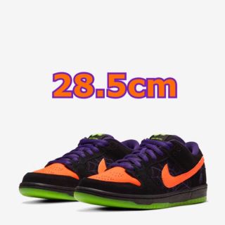 ナイキ(NIKE)のNIKE SB DUNK LOW PRO 28.5cm(スニーカー)