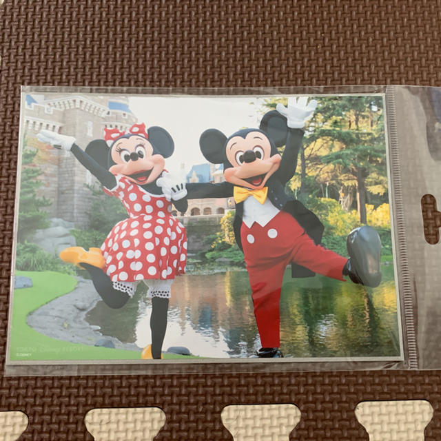 Disney(ディズニー)のディズニーランド　写真 エンタメ/ホビーのおもちゃ/ぬいぐるみ(キャラクターグッズ)の商品写真