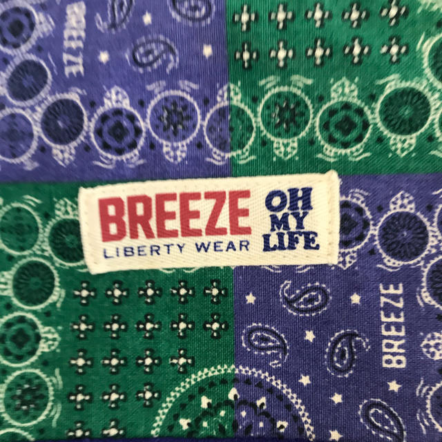 BREEZE(ブリーズ)のブリーズ　ポーチ キッズ/ベビー/マタニティのおむつ/トイレ用品(ベビーおむつバッグ)の商品写真