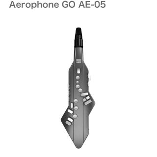 ローランド(Roland)のゆう様専用！ Aerophone GO AE-05  (その他)