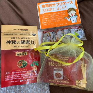 高麗人参 神秘の健康力(その他)