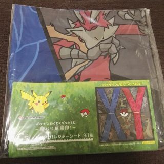 ポケモン(ポケモン)のポケモンわくわくゲットくじ　〜草むら探検隊〜　C賞　メガシンカ！レジャーシート(その他)