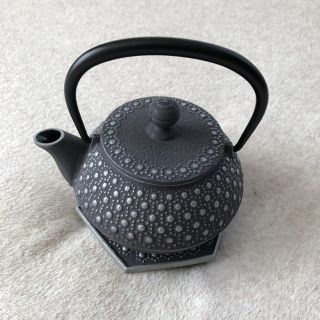 イッタラ(iittala)のアンシャンテジャポン 南部鉄器 岩鋳カモミールno.3イヴェール カラーポット(食器)