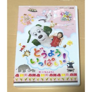 NHK DVD いないいないばあっ! どうよう いっぱい!(キッズ/ファミリー)