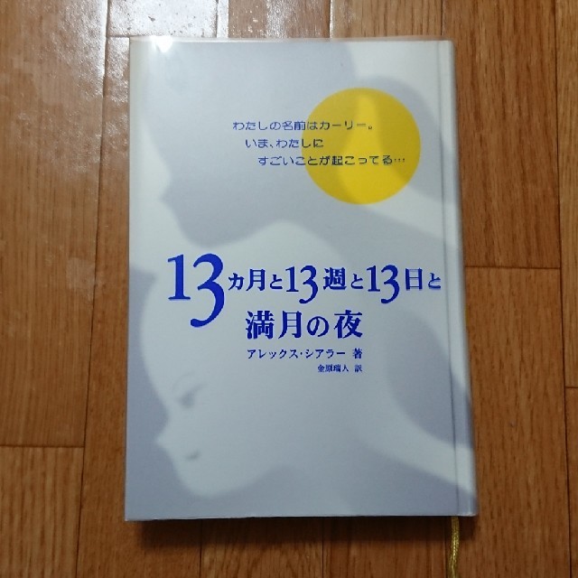 13カ月と13週と13日と満月の夜 アレックス シアラー エンタメ/ホビーの本(文学/小説)の商品写真