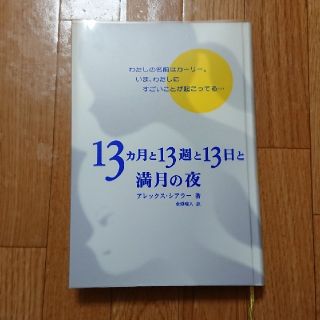 13カ月と13週と13日と満月の夜 アレックス シアラー(文学/小説)