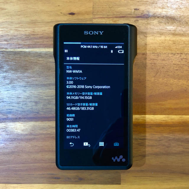 SONY NW-WM1A 　ケース、バランスケーブル、SD　フルセット