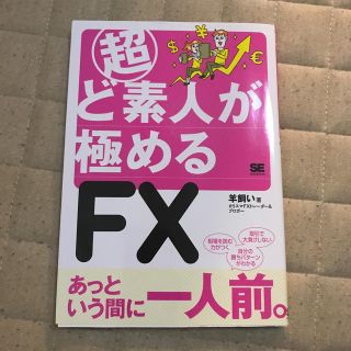 超ど素人が極めるFX(ビジネス/経済)