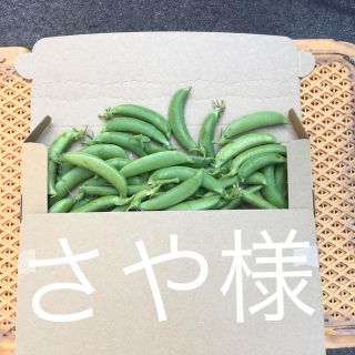 鹿児島産甘スナップエンドウ500g^_^(野菜)