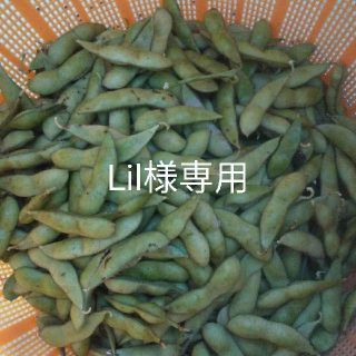 黒枝豆　Lil様専用(野菜)