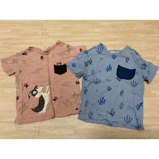 ザラ(ZARA)のzara kids 2set(Tシャツ/カットソー)