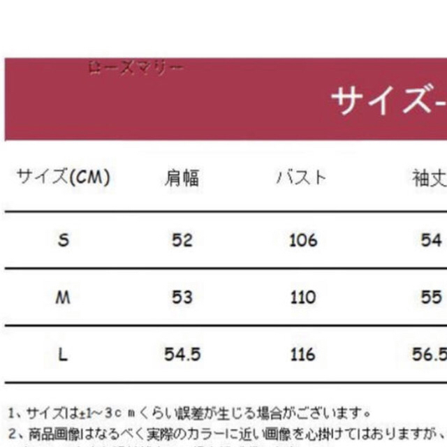 ZARA(ザラ)の新品フリルレーススエットトップスサイズL レディースのトップス(トレーナー/スウェット)の商品写真