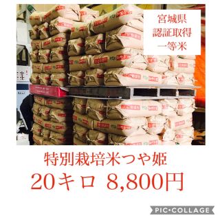 ぽんたろう様専用つや姫25キロ(米/穀物)