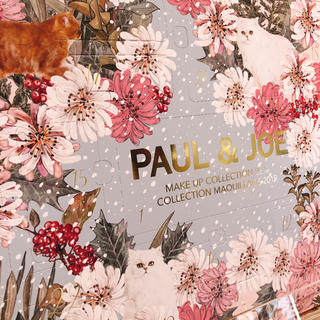 ポールアンドジョー(PAUL & JOE)のポール&ジョー　クリスマスコフレ　2019(コフレ/メイクアップセット)