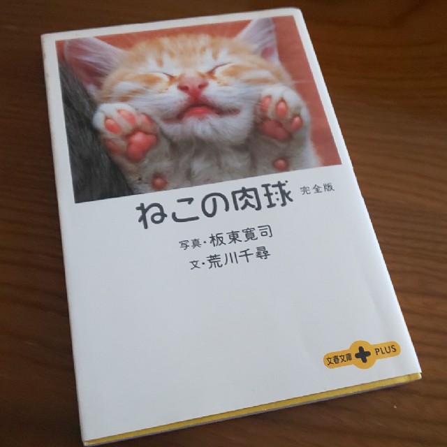 文藝春秋(ブンゲイシュンジュウ)のねこの肉球 完全版 エンタメ/ホビーの本(住まい/暮らし/子育て)の商品写真