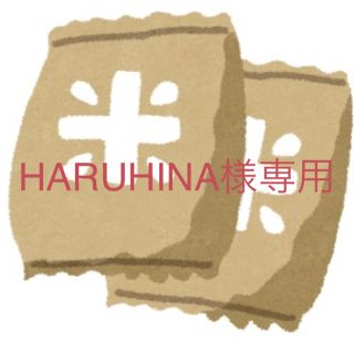 HARUHINA様専用★1等米！新米ななつぼし お米5kg2袋 10kg お米(米/穀物)