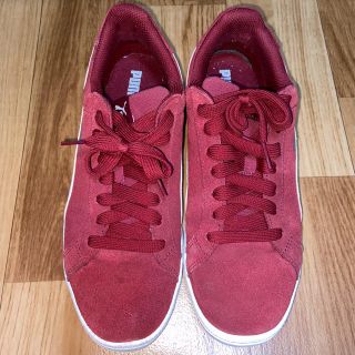 プーマ(PUMA)のPUMA スニーカー　プーマ　27.5cm(スニーカー)