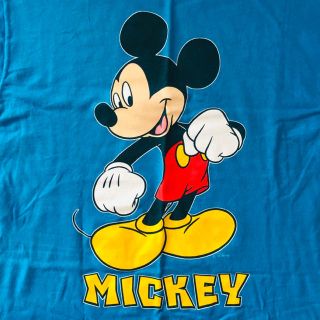 ディズニー(Disney)のウォルトディズニーワールド Tシャツ(Tシャツ/カットソー(半袖/袖なし))