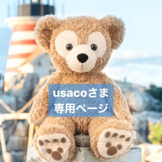 usaco様 専用ページ(その他)