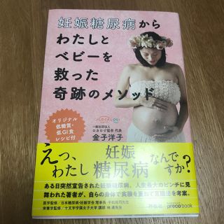 妊娠糖尿病からわたしとベビーを救った奇跡のメソッド　〜誰も書かなかった妊娠糖尿病(住まい/暮らし/子育て)