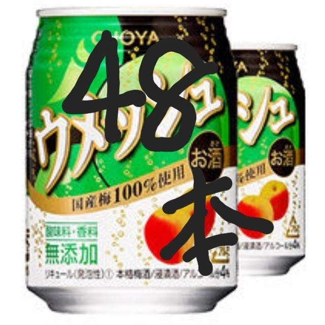 アサヒ(アサヒ)のあさげのみそ汁様専用48本果汁100％オランジーナ 食品/飲料/酒の飲料(ソフトドリンク)の商品写真