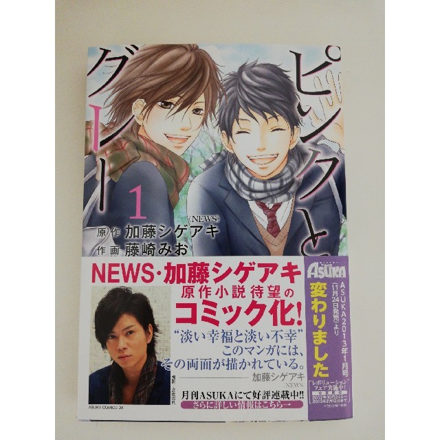 角川書店(カドカワショテン)のピンクとグレー 1巻 エンタメ/ホビーの漫画(少女漫画)の商品写真