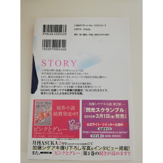 角川書店(カドカワショテン)のピンクとグレー 1巻 エンタメ/ホビーの漫画(少女漫画)の商品写真