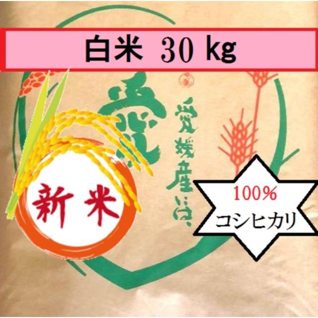 HIRO♡ 様専用　お米　令和元年　愛媛県産コシヒカリ　白米　30㎏